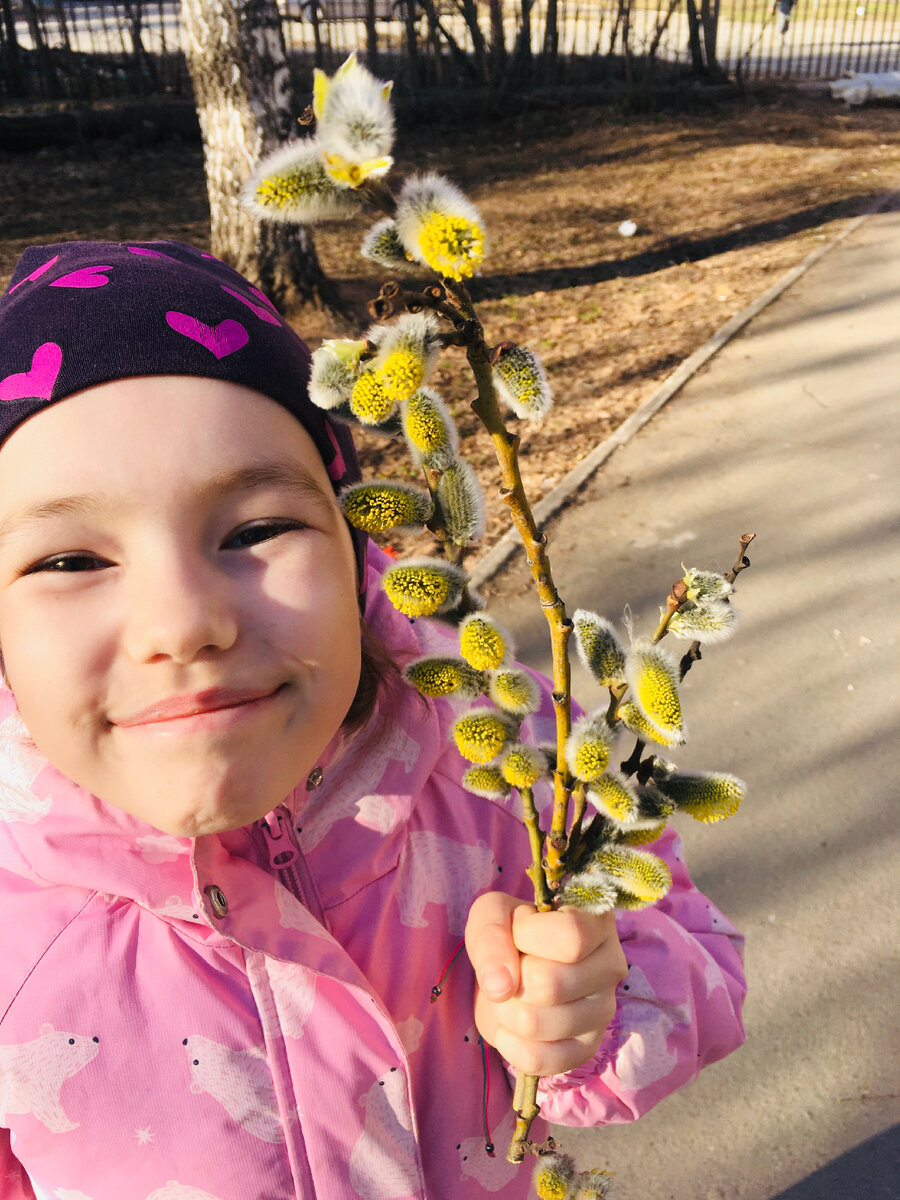 Софья и верба