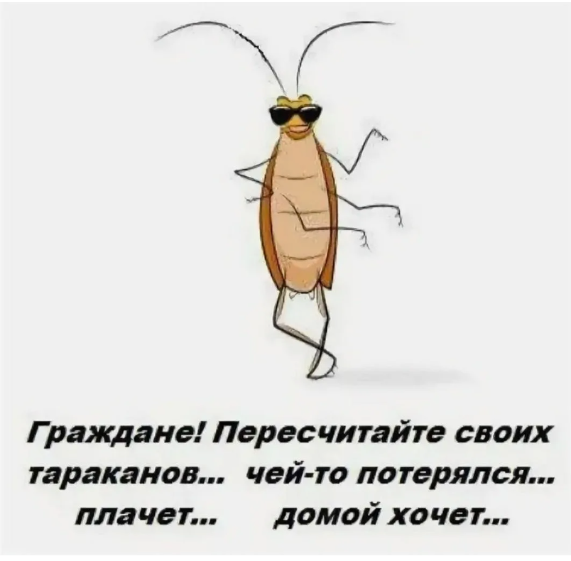 Я веселый таракан текст. Смешные изображения тараканов. Смешные рисунки тараканов. Смешное про тараканов в голове. Таракан прикольный.