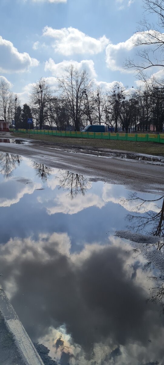 Какая красота в лужах!