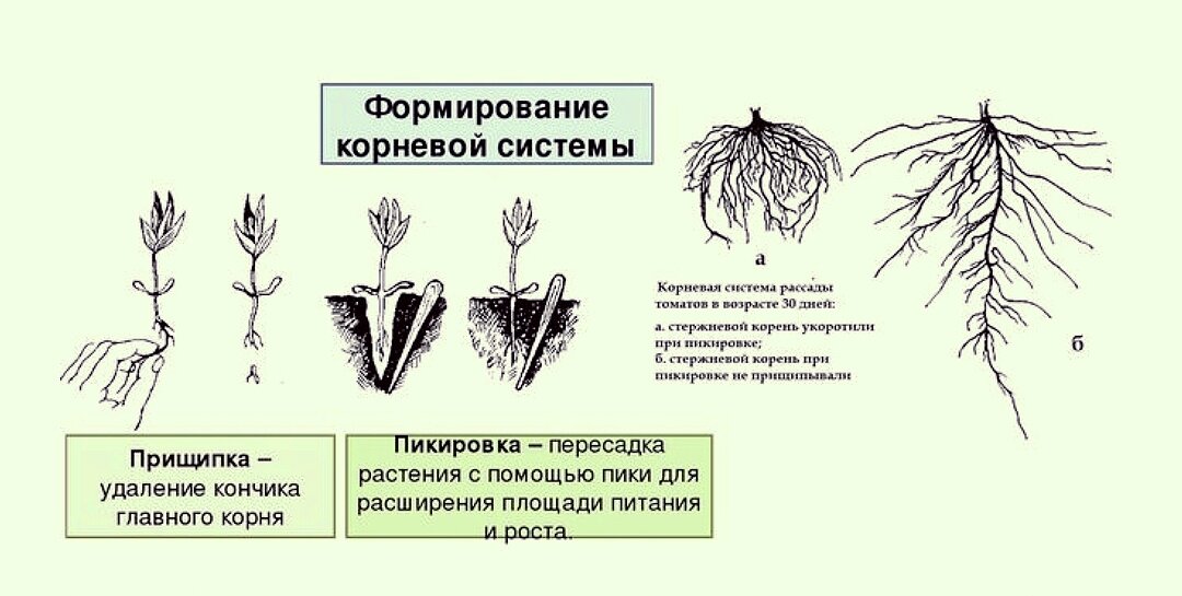 1. Полевое внесение