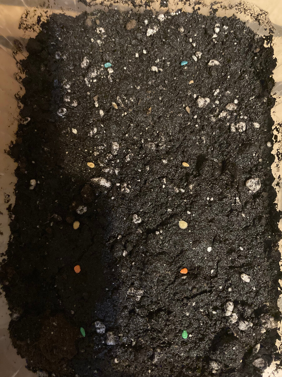 Смотрите -синие, красные, зеленые….