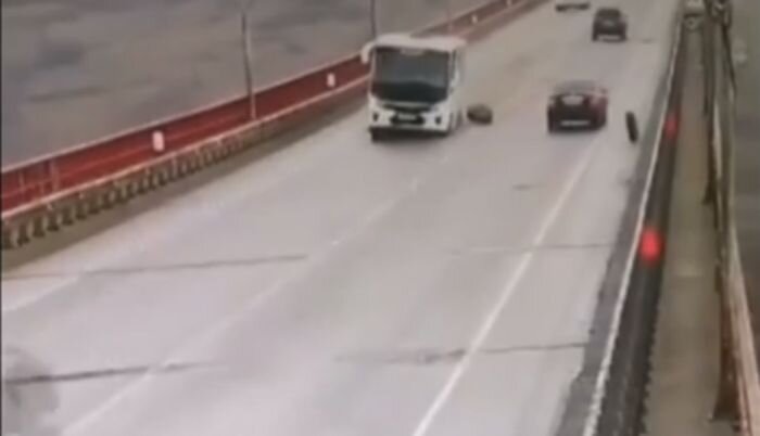 Источник фото: Ростов-Главный/Vk.com