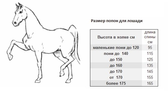 Размеры лошадей таблица. Размер хомута для лошади таблица. Рост лошади в холке таблица. Высота лошади в холке по породам.