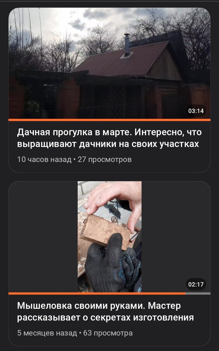 Прошло пять месяцев. Скриншот автора 