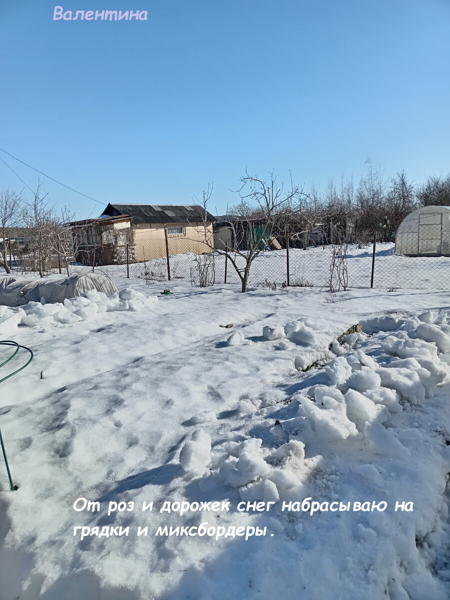 Весенняя влага очень важна для моего участка.