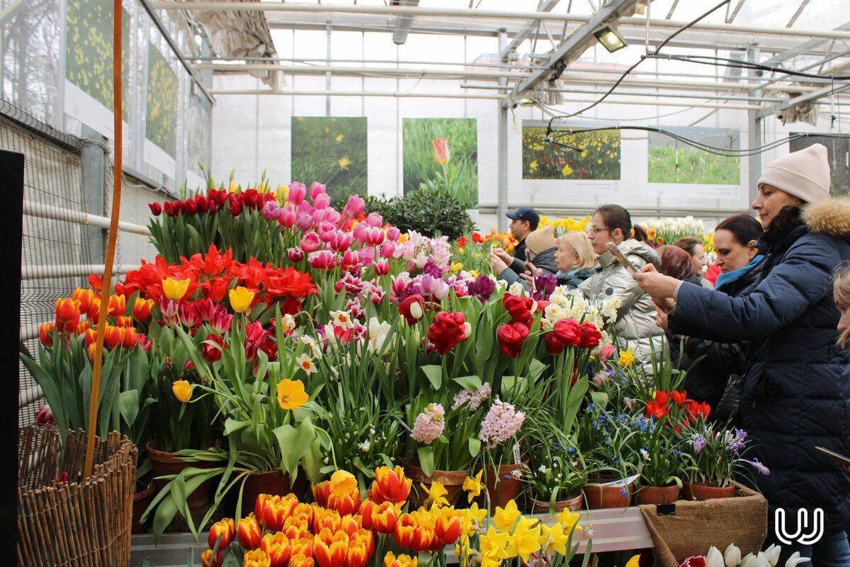 венская конвенция о праве международных договоров. прокурор имеет право. вступить в полномочия. сложение полномочий правительства рф. профсоюзы имеют право.