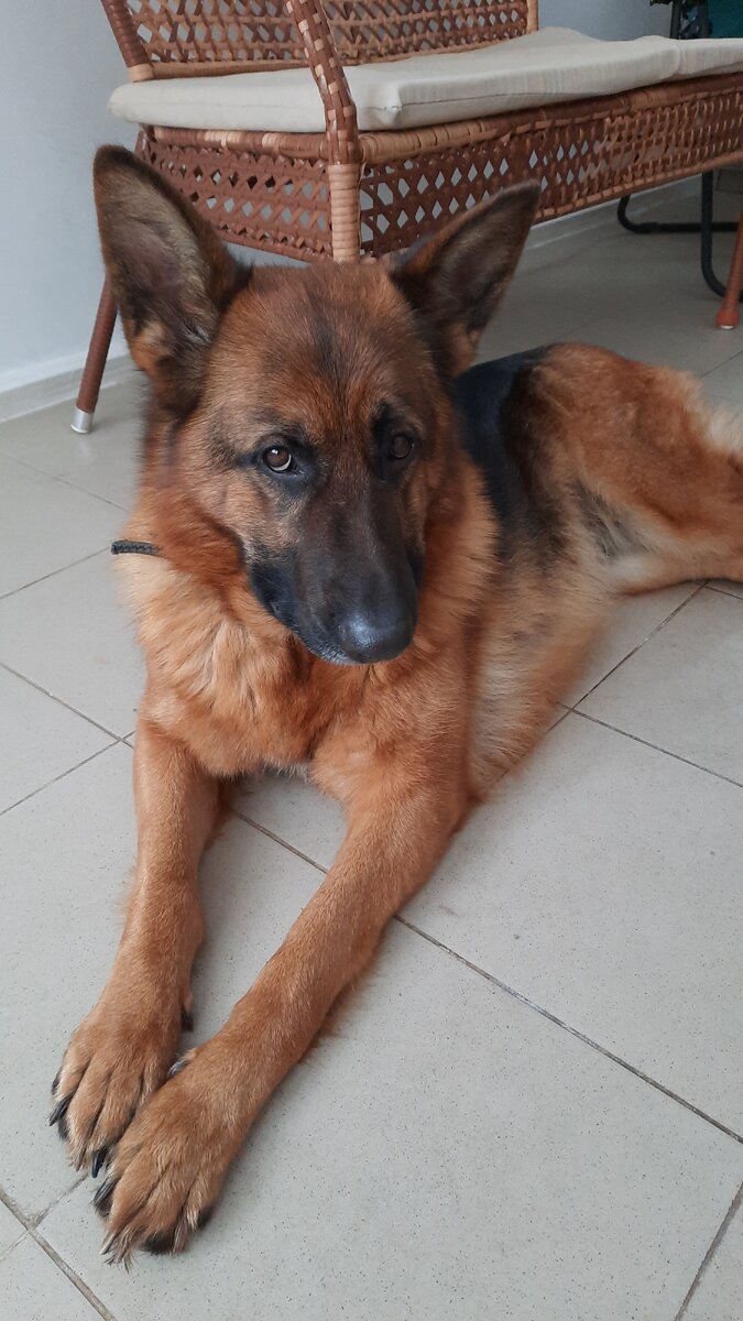 Поздравит меня кто ни будь🙄