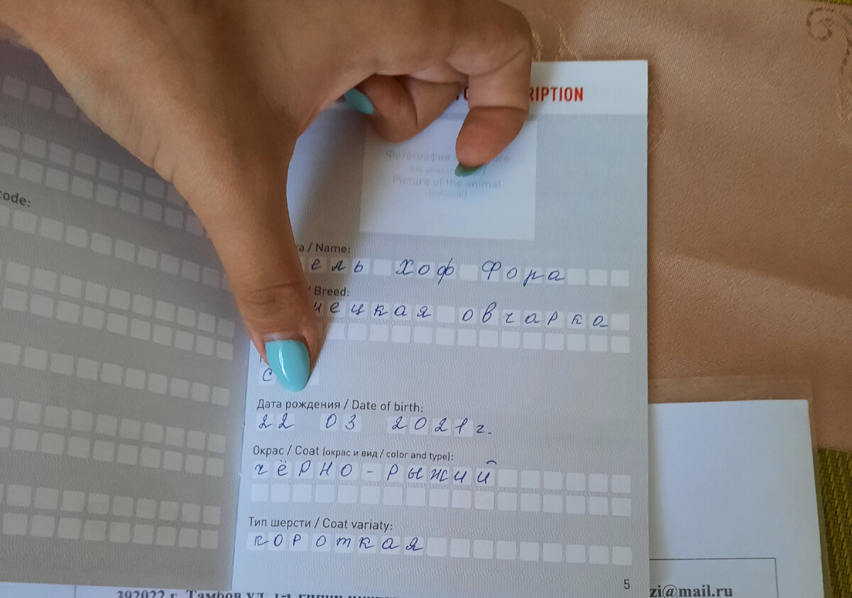 Паспорт Берты.