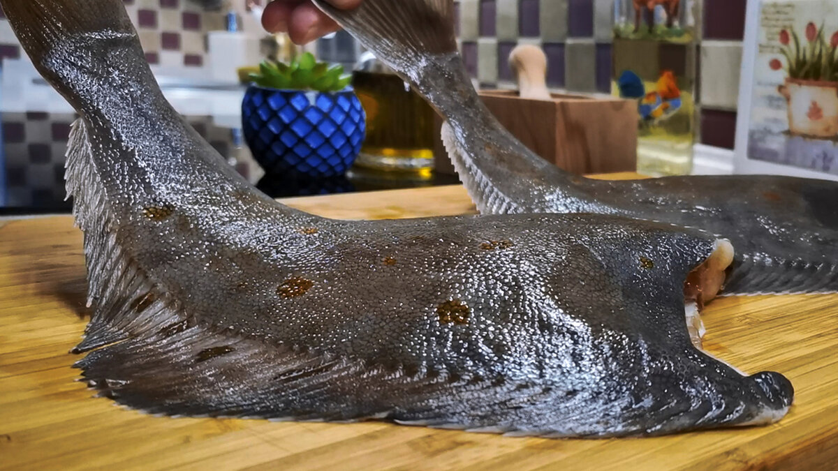     ,   - .   ,   " ",          .