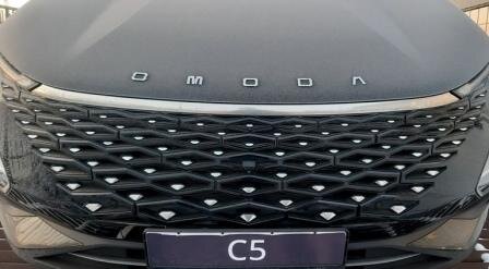    Фото: Амур.инфо