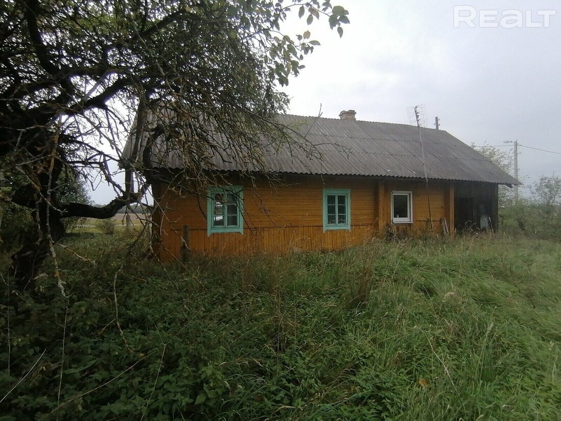 Дома под дачу до 5 тысяч долларов. Смотрим варианты в лесных деревнях в  часе от Минска | Realt.by | Дзен