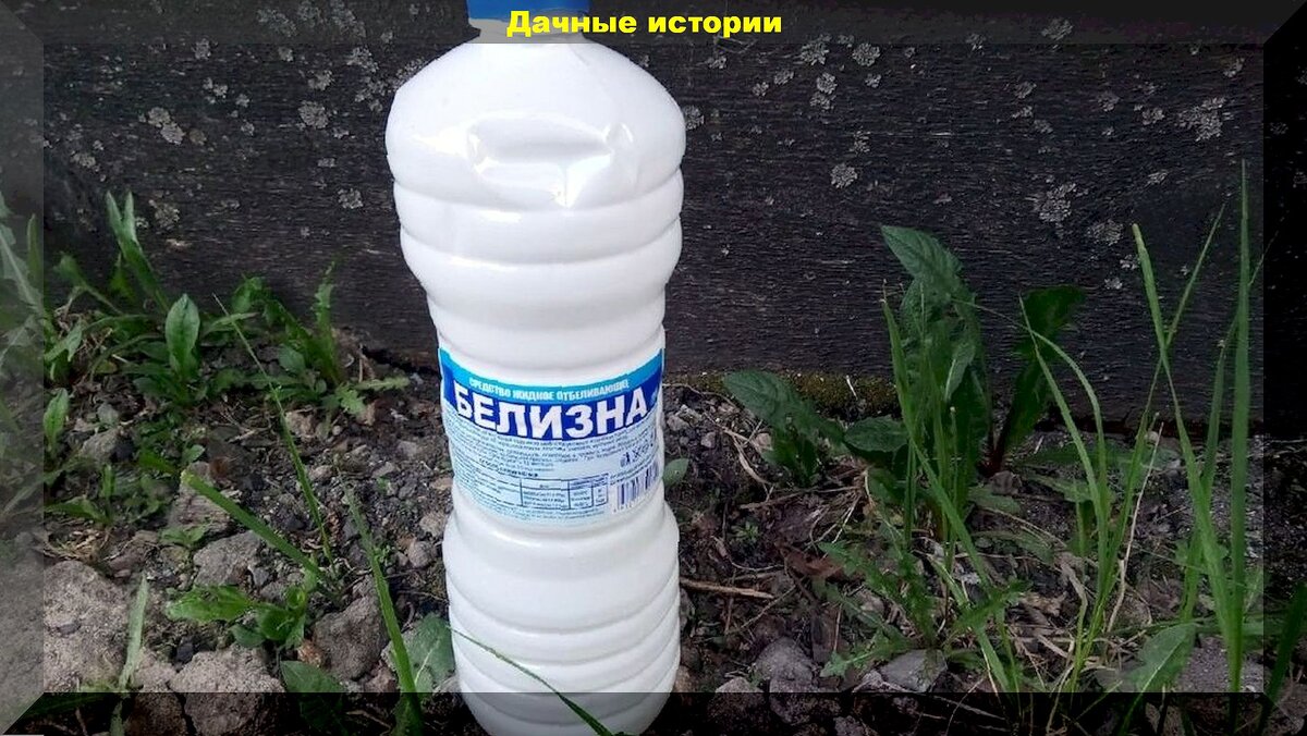 https://vk.com/photo-159774511_457264670