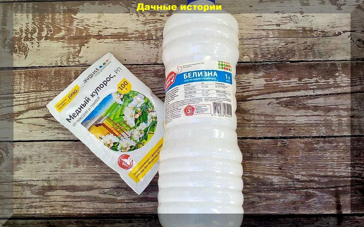 https://vk.com/photo-159774511_457264671