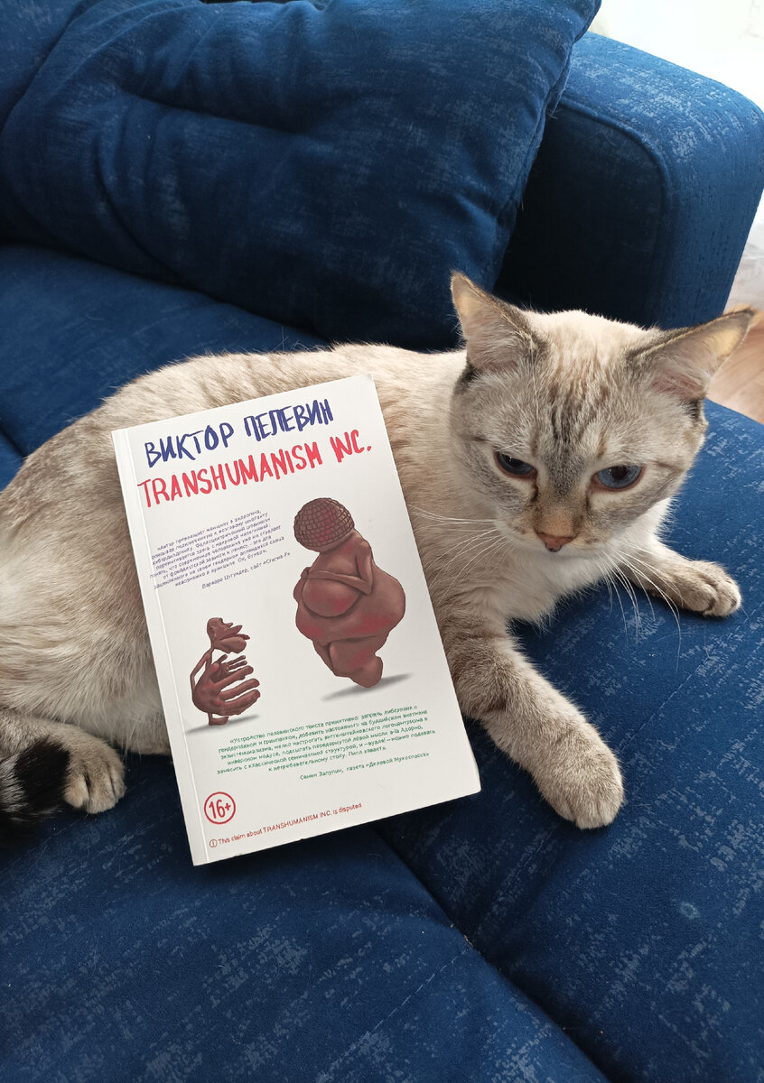 Сегодня читаемую довольно внушительную книгу, позиционируемую как антиутопия, представляет конспирологически прищурившаяся Дженифер🤣. 