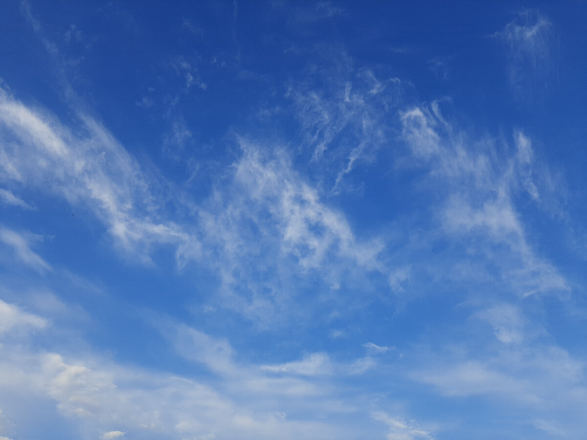 Хочу пожелать всем мирного неба над головой.