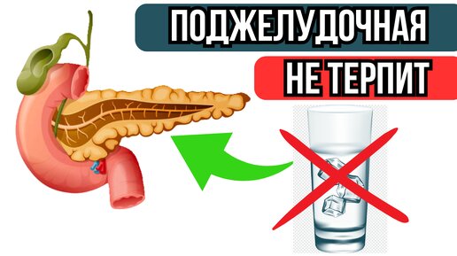 5 Пищевых Привычек, Убивающих Поджелудочную Железу