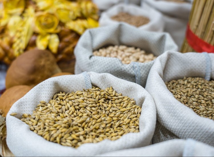    Россельхознадзор прокомментировал заявление ТД Риф о фитосанитарном контроле экспортных партий зерна компании