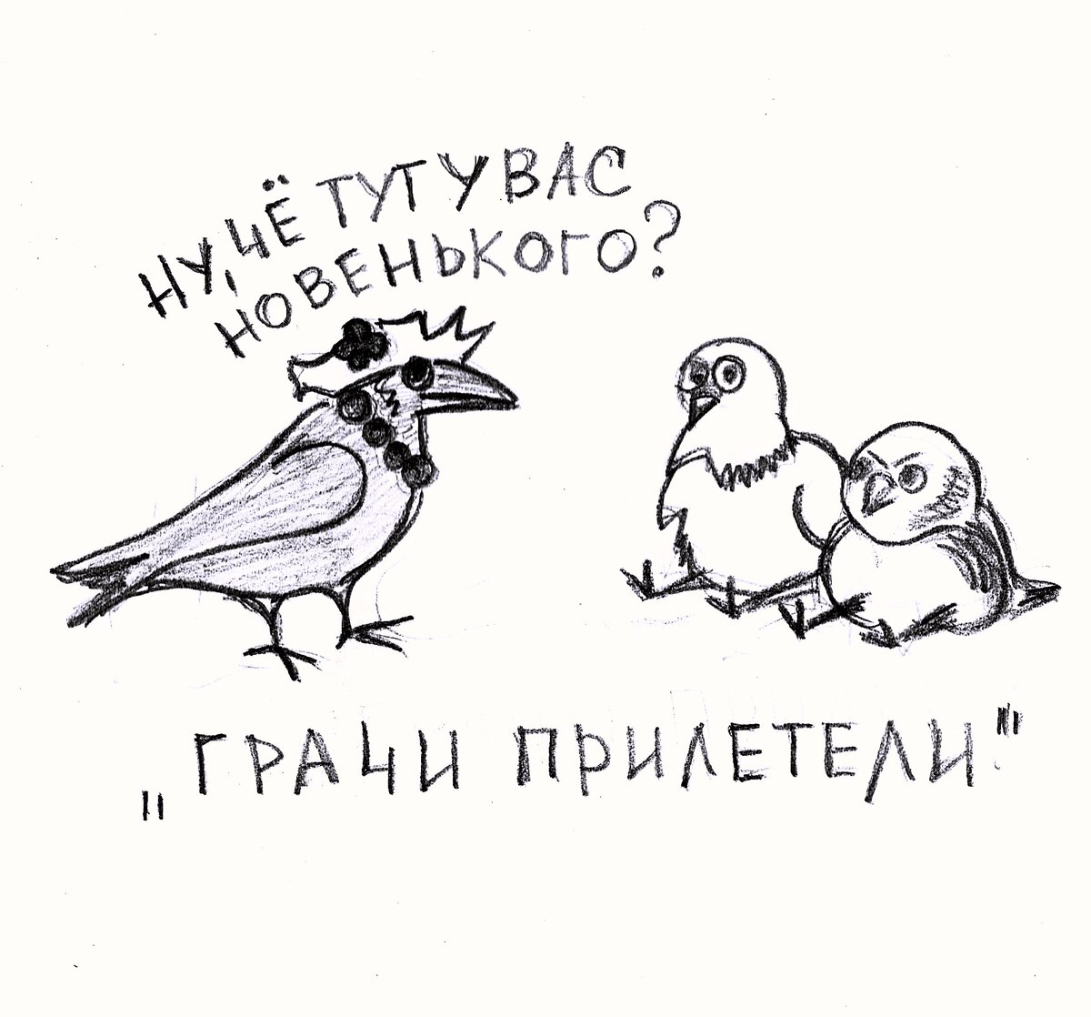 Грачи прилетели