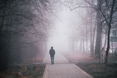    Фото: Вячеслав Ясько