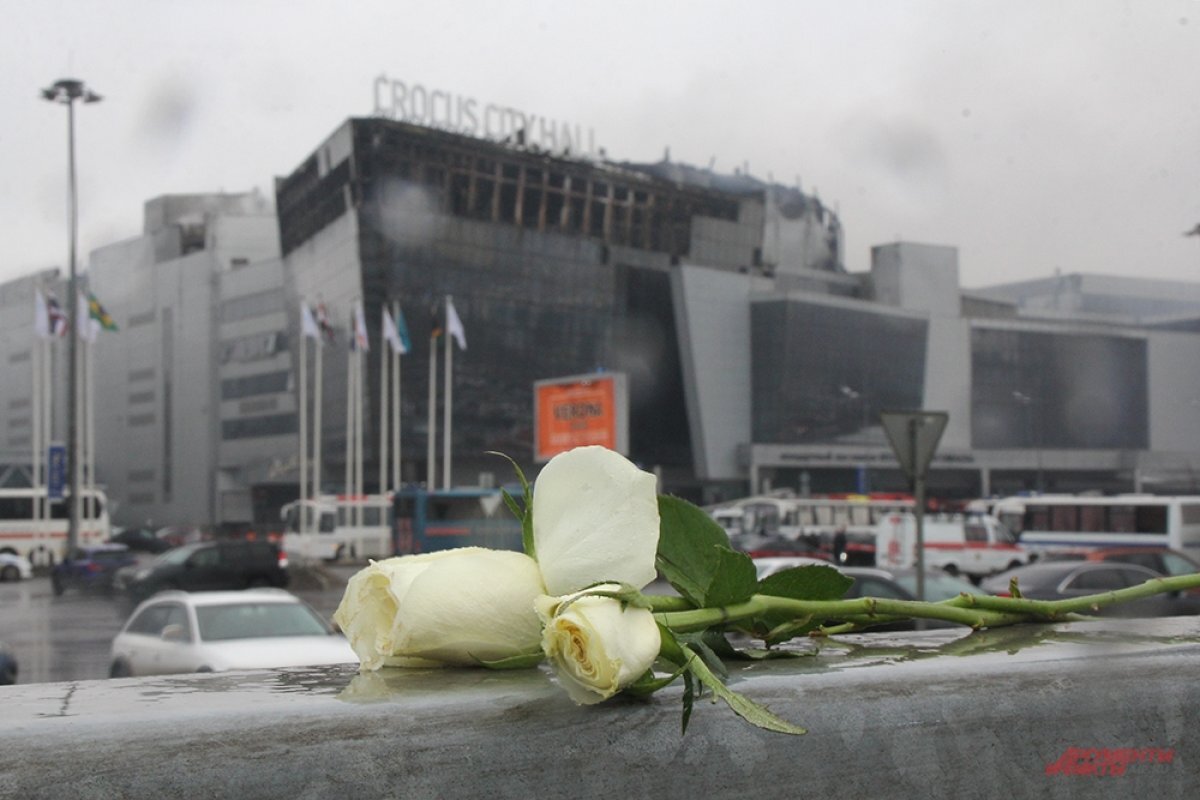   Во время теракта в «Крокус Сити Холл» проходили детские соревнования