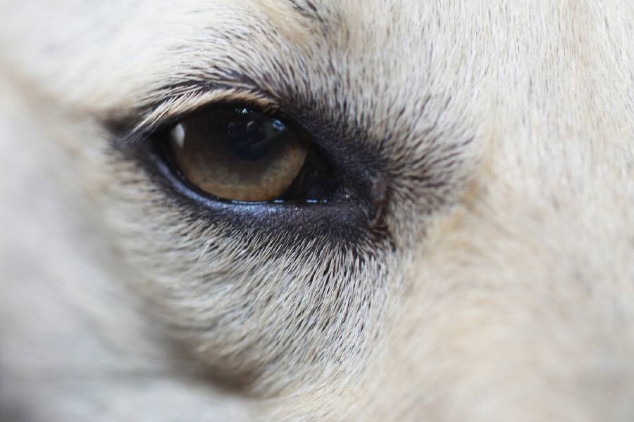 Фото: pixabay.com