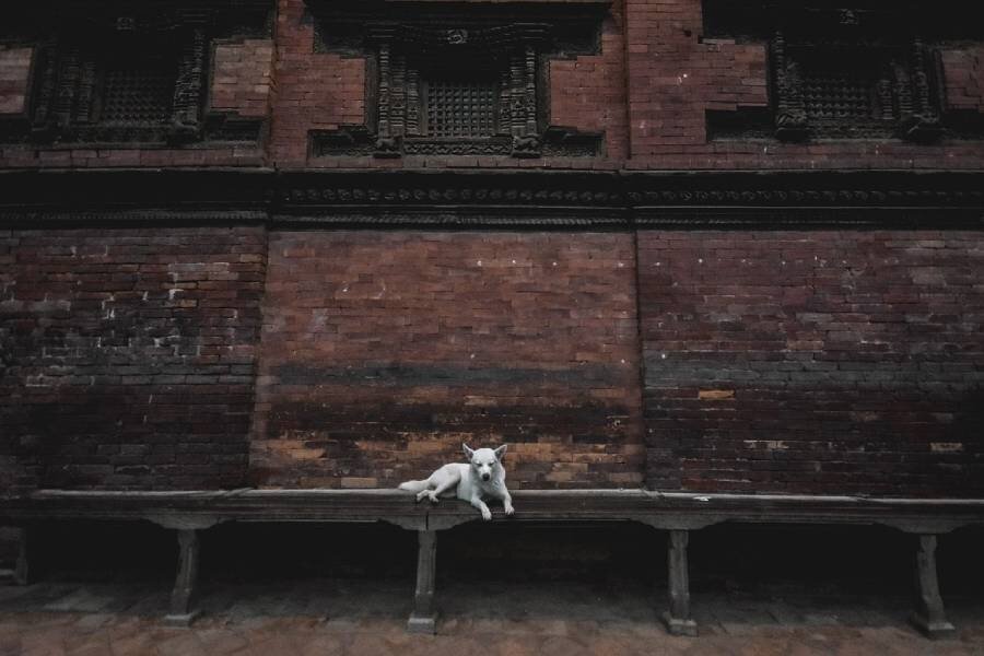 Фото: pixabay.com