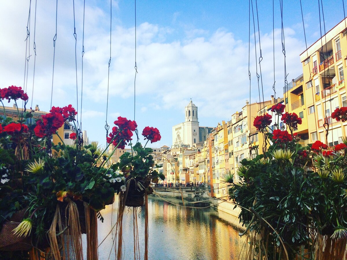 И про мост через реку Оньяр не забыли.