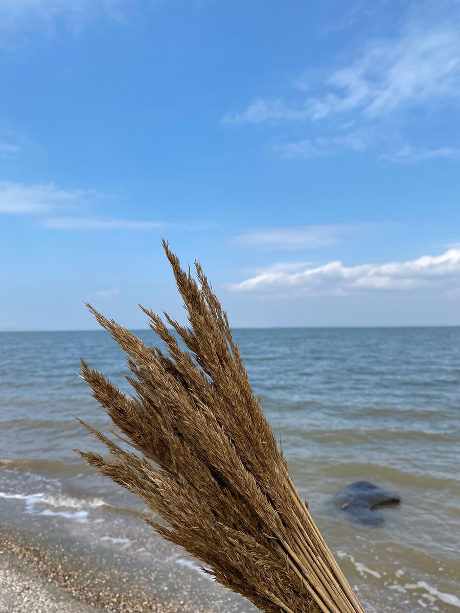 Дивное местечко, дикое в зимнее время.