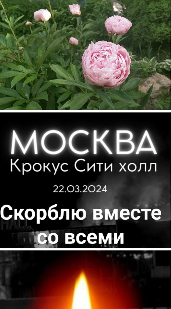Коллаж автора
