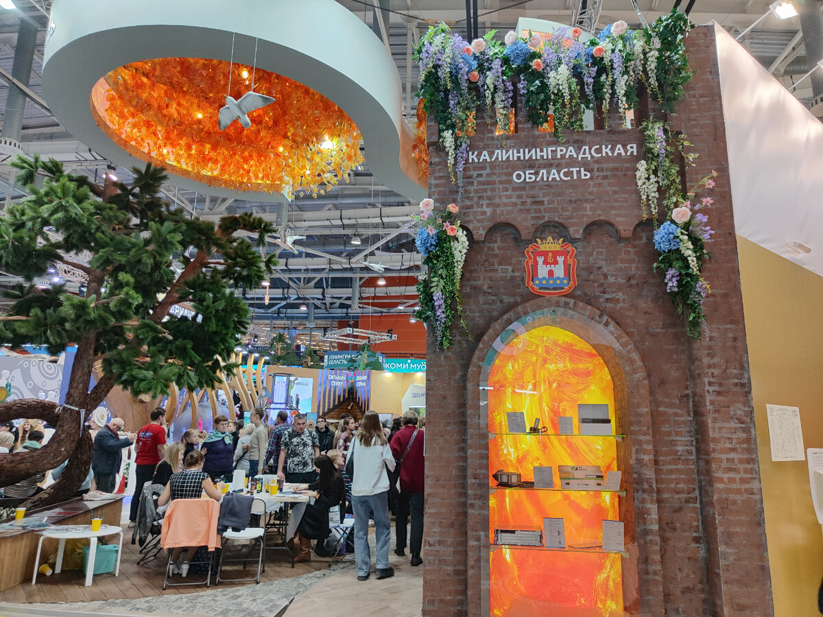 Фазенда выставка-ярмарка в сокольниках 2022 осень. Ботанический сад мгу аптекарский огород. Выставка вднх 55 павильон. Выставка огород на вднх. Отанический сад мгу «аптекарский огород».