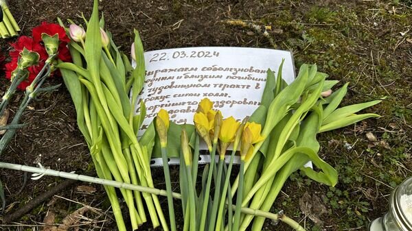    © Sputnik / Владислав Адамовский