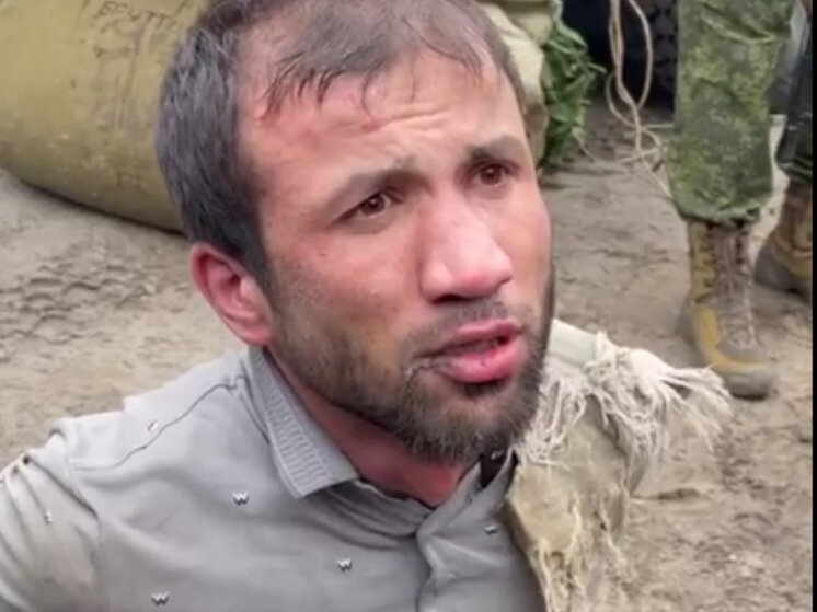     Фото: стоп-кадр видео пресс-службы ГСУ СК России по Московской области