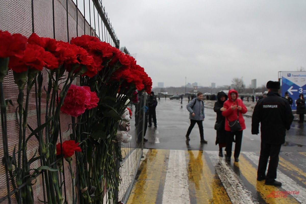    Филармония, театры и цирк в Рязани отменили мероприятия 23-24 марта