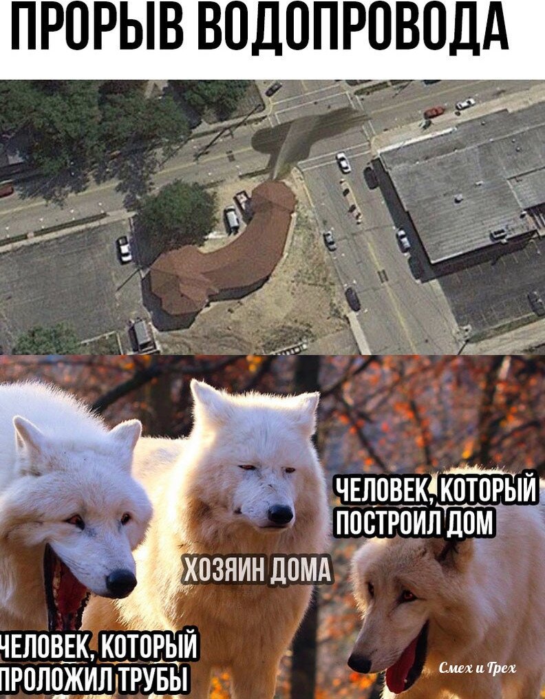 Настоящее настроение. Человек и природа. Настоящее настроение. Дети смеются. Счастливый человек.