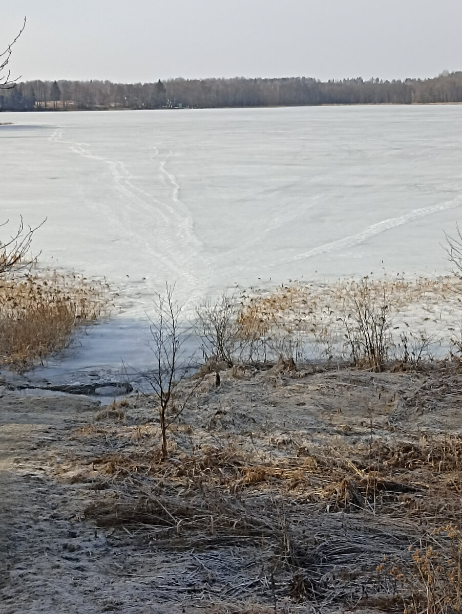 На соседних озёрах ещё крепкий лед, озеро Петровское
