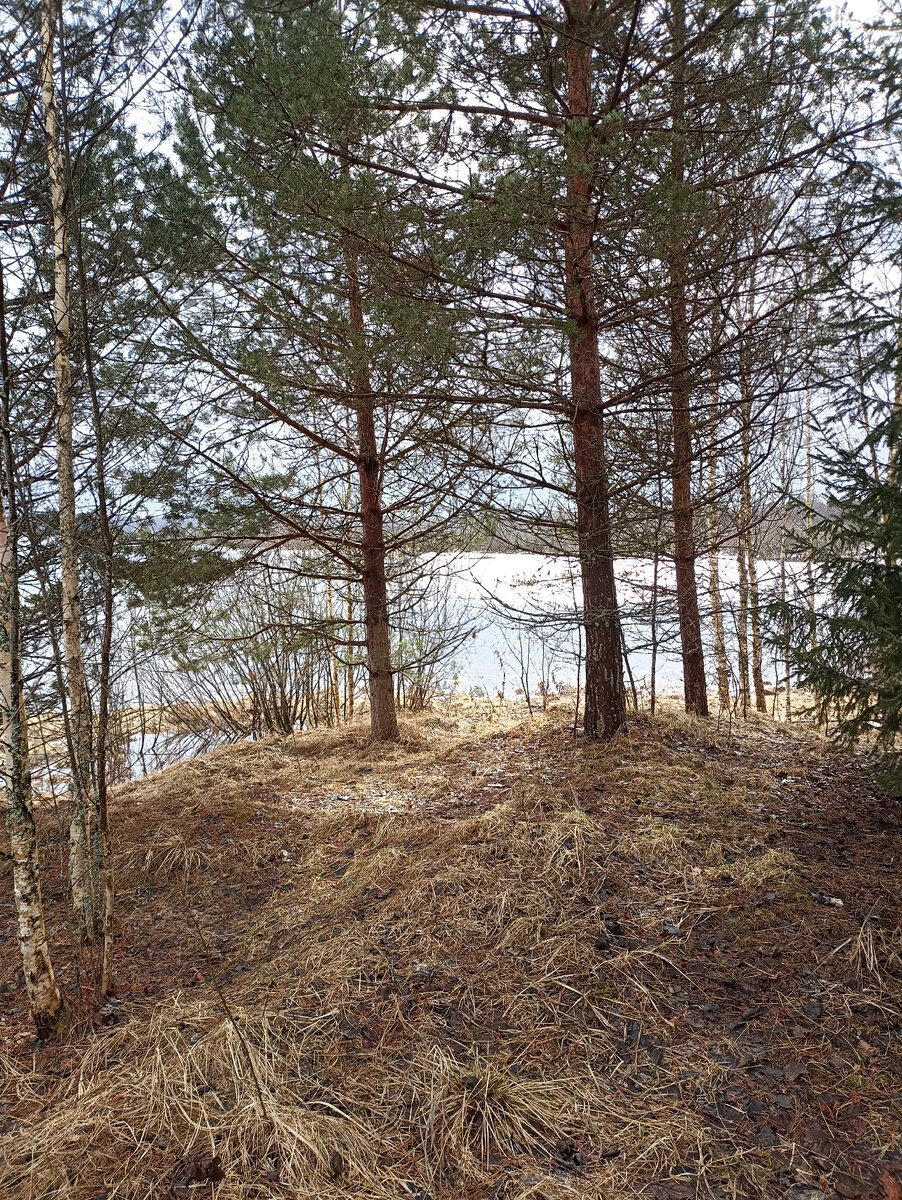 Вид на озеро