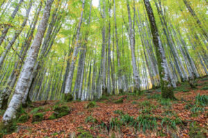    фото: freepik.com/wirestock Мария Михайловская