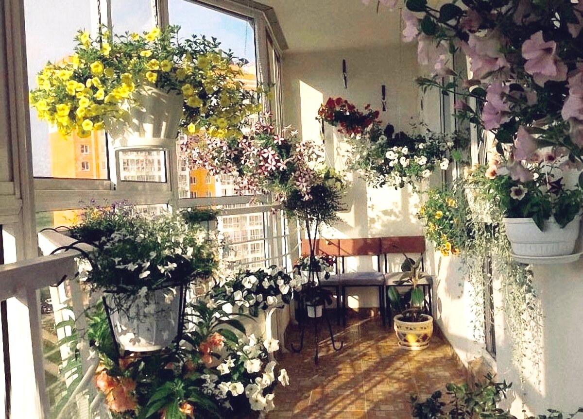 фото взято с сервиса "Яндекс.Картинки"