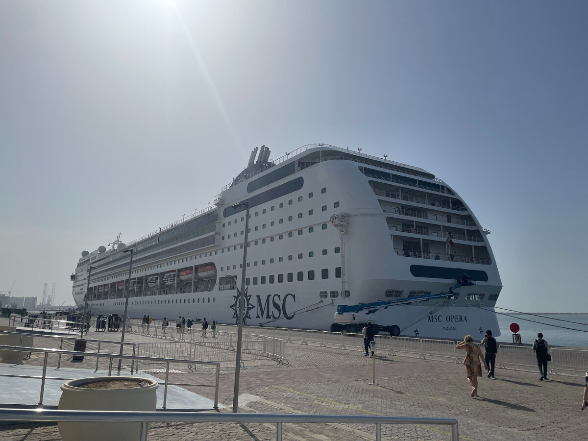 так выглядит сам лайнер