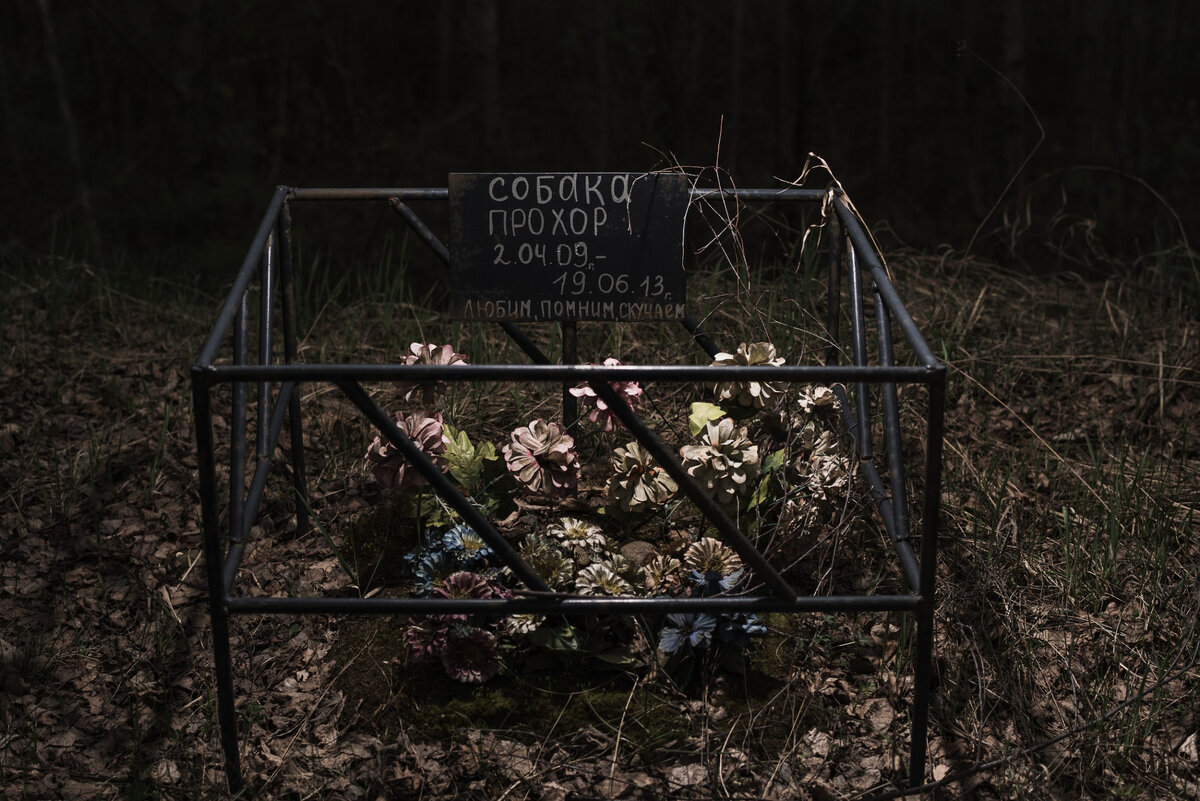 кладбища покойники