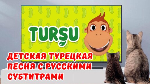 Веселая турецкая песня про соленья. Добавил субтитры для начинающих изучать турецкий