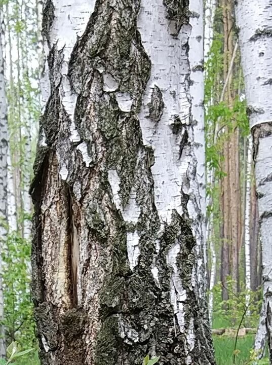    Фото: Олег ЧИРКАШЕНКО