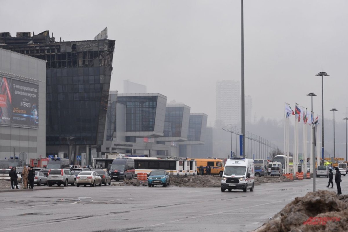    Во время теракта в «Крокус Сити Холле» выступали кубанские спортсмены