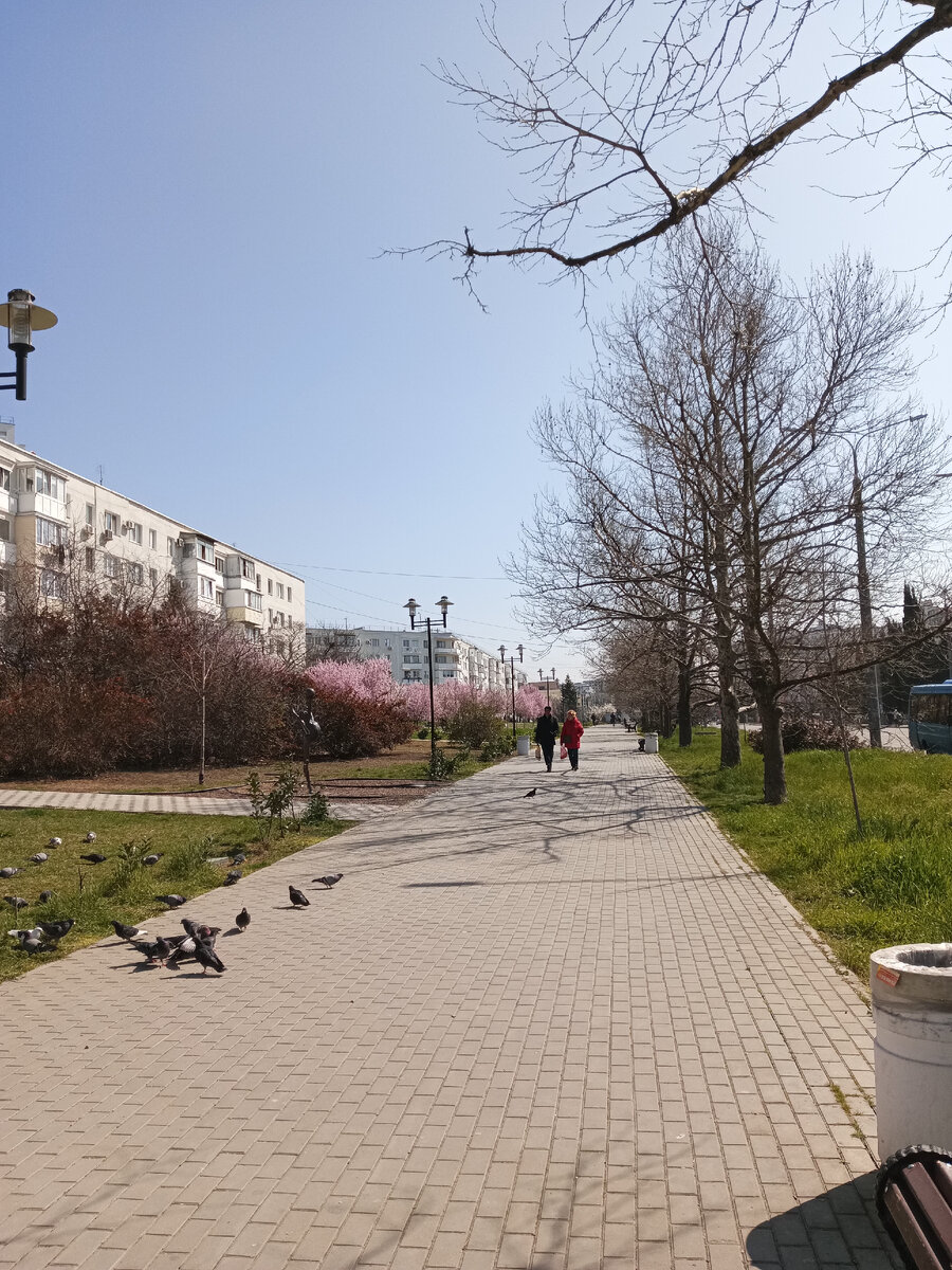 аллея