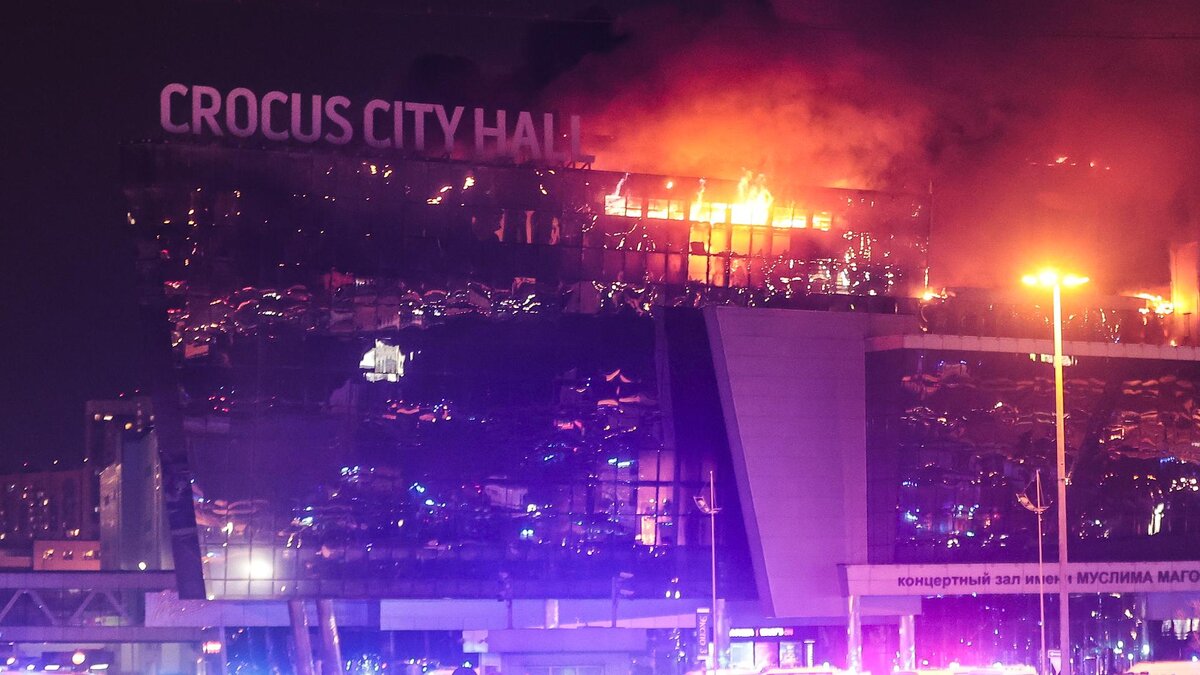 Фото: Dmitry Golubovich/globallookpress.com