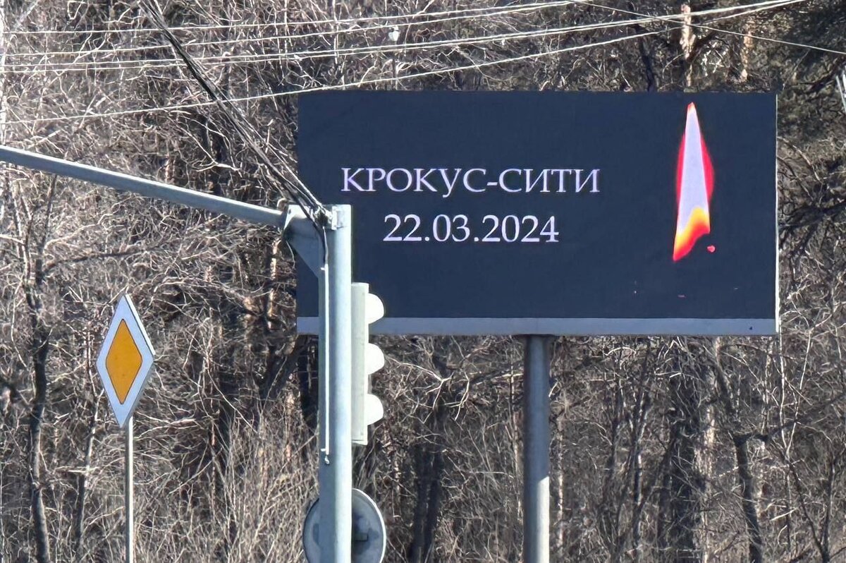 Фото: Александр Файрузов / предоставлено изданию Царьград.