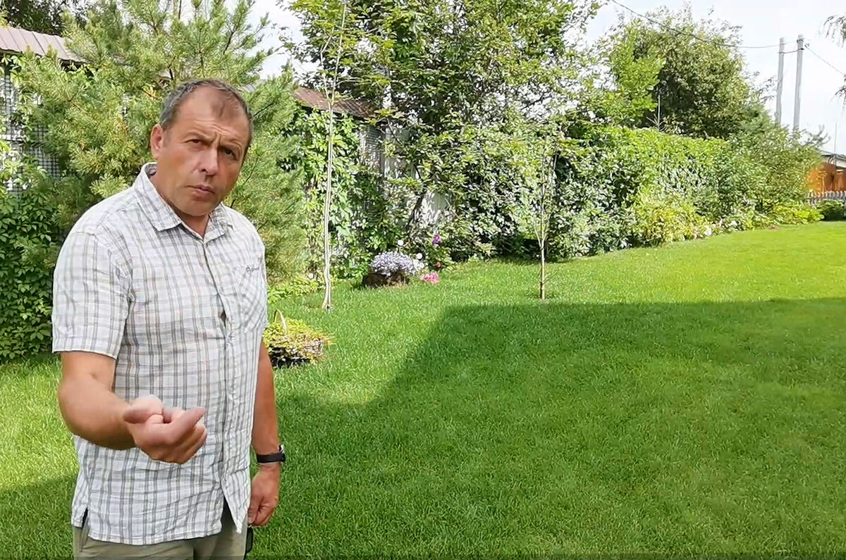 Этому газону 8 лет и он в хорошем состоянии