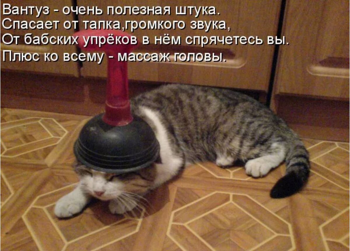 Что значит мем девушка с вантузом Сделал гадость - сердцу радость! Расстрой инспектора - представь документы в отв