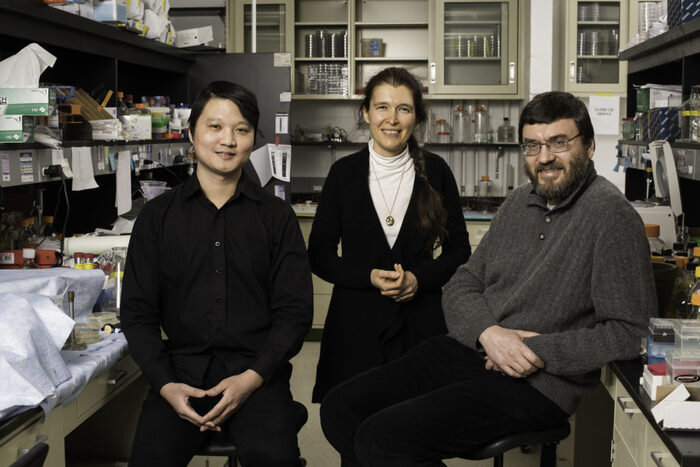 Профессоры Вера Горбунова и Андрей Селуанов