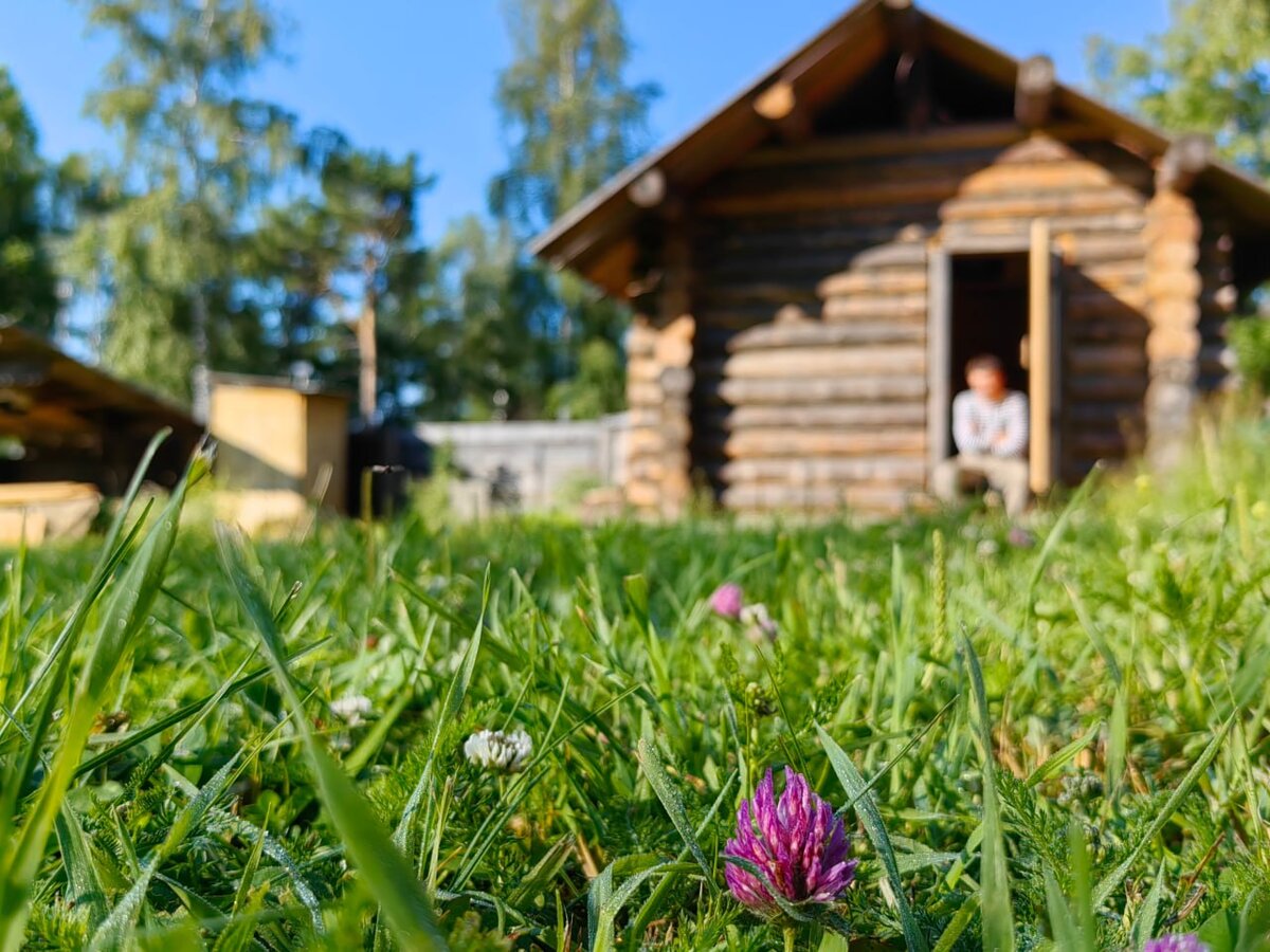 Автор в раздумьях - из чего строить большой дом?
